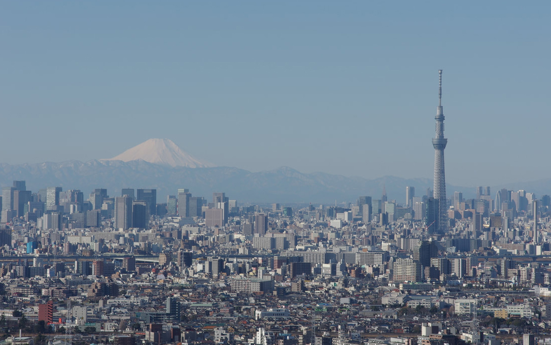 Mt. Fuji and Tokyo Skytree view